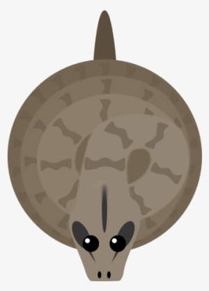 Boaconstrictor - Boa Constrictor #4379917