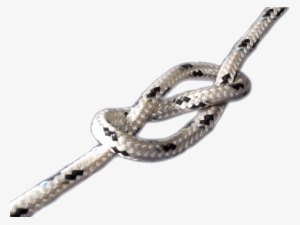 Nœud D'huit - Wikimedia Commons #4380603