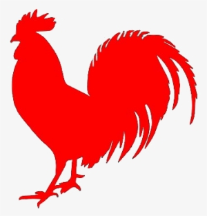 Rooster Redroosterfarm - Gallo Negro #4381383