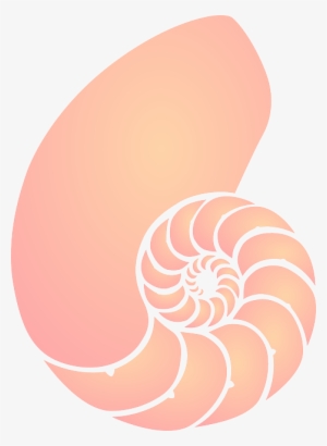 Shell-304486 640 - Sea Shells Cartoon Png #4381861