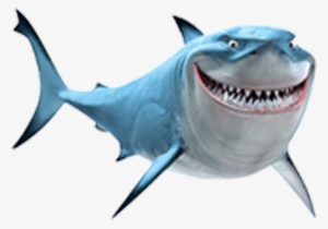 Shark Finding Nemo Png #4381966