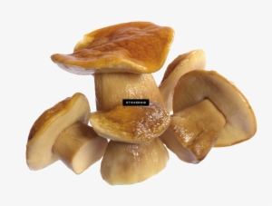 Mushroom #4382268