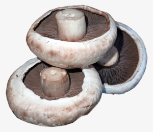 Mushrooms, Vegetables, Food, Cooking, Healthy, Organic - Cooking #4382304