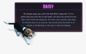 Garage Car Panel Daisy - Daisy John Wick #4382612