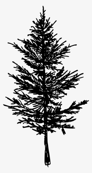 Free Download - Spruce #4382892