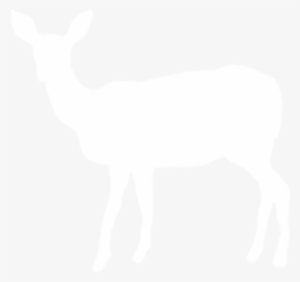Deer - White Deer Silhouette Png #4383928