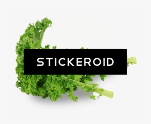 Kale Food Plant - Transparent Photo Of Kale #4383996