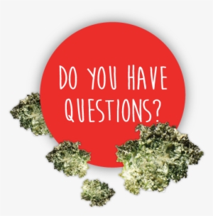 Email Them To Us - Castel Del Monte #4384366