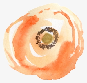 Vortex Flower Transparent Decorative - Portable Network Graphics #4384417