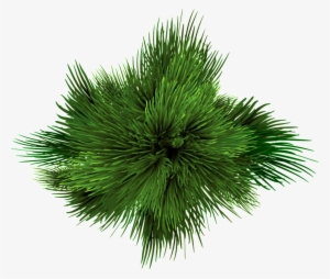 Green Vortex Transparent Decorative - Portable Network Graphics #4385012
