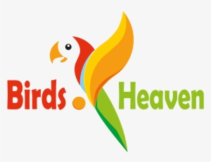 Birds Heaven Birds Heaven - Ara Colombia #4385131