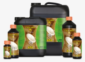 Ata Terra Max #4385875