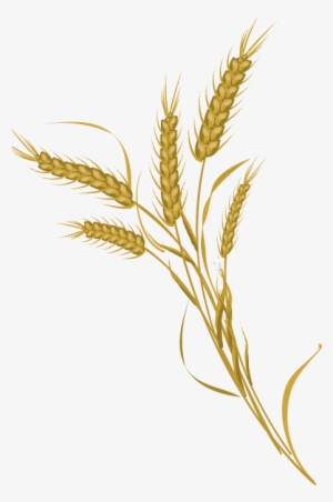 Grain Clipart Wheat Farming - Farmer Wheat Png #4385961 Grain Clipart Wheat Farming - Farmer Wheat Png #4385961