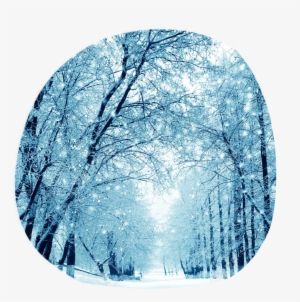 Snowdrop Clan Aesthetic - Sjoloon 10x10ft Snow Vinyl Cp Photography Backdrop #4386257
