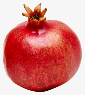 Pomegranate #4386922