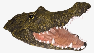 Alligator Natural Enemy® Scarecrow - American Crocodile #4387749