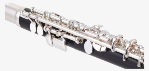 Yamaha Ypc32 Piccolo 10307954 800 - Yamaha Ypc 62 Grenadilla Wooden Piccolo #4387913