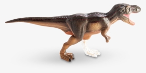 4d Vision T-rex Anatomy Model - T Rex Anatomy #4387916