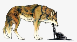 Coyote Dog Vomiting Illustration - Ilustracion Coyote Vector #4388894