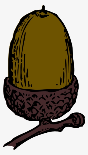 Acorn Clip Art #4390672