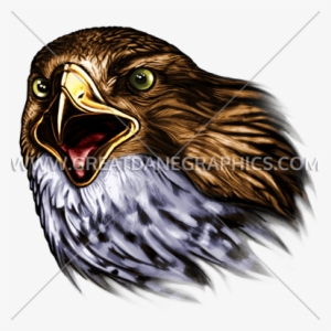 Falcon - Transparent Falcaon #4391167