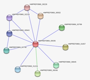 Hmpref0969 00035 Protein - Diagram #4392928