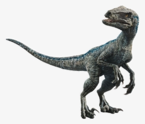 Blue The Velociraptor V5 By Sonichedgehog2 - Dinosaurio Blue Jurassic ...