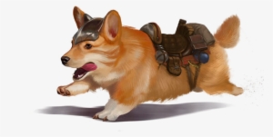 Sir Didymus The Dire Corgi - D&d Corgi Halfling #4395774