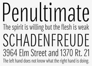 Densia Sans Font Phrases - Simplistic Font #4395913