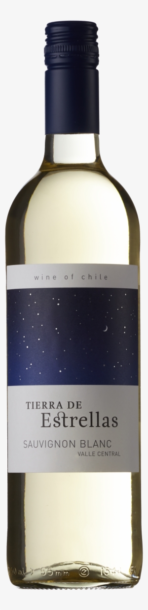 Product Information Downloads - Wine Bottle #4397203