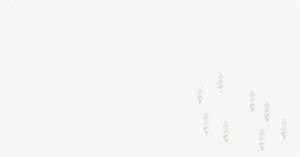 Humo - Footprint #4398499