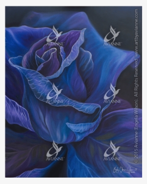 Purple Rose Giclée - Blue Rose #4398889 Purple Rose Giclée - Blue Rose #4398889