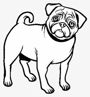 De C O Para Colorir Com Co - Perros Pug Para Dibujar #4399730