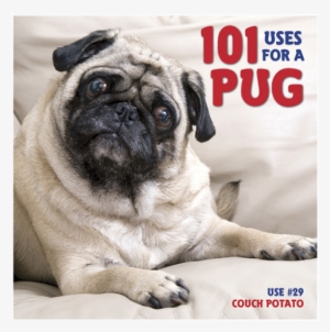 Willow Creek Press's “101 Uses For A Pug” #4399870