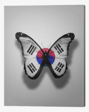 South Korea Flag Butterfly, Isolated On Flag Background - South Korea Flag #440526