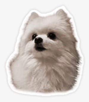Memes - Gabe The Dog Transparent Background #440572