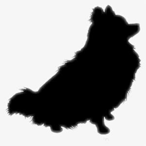 Pomeranian Silhouette Dog Pom - Pomeranian Clipart #440822