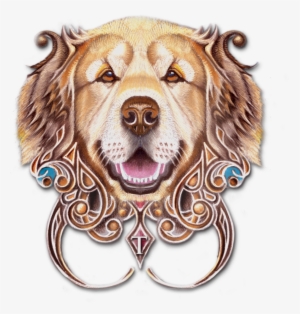 Cocker Spaniel #441082