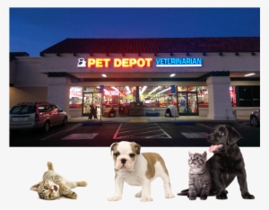 Katie's Pet Depot, Located At 1941 Foothill Blvd - Beaphar Uk Beaphar Cat Play Spray 150ml (pack Of 3) #441182