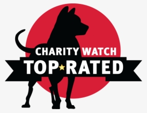 Charity Watch A Rating #441476