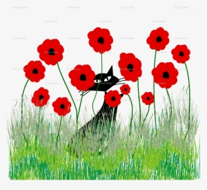 Cat Poppies #441628