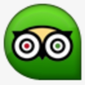 Trip Advisor Icon - Nokia Lumia 630 Dual Sim - White #442617