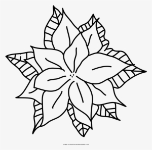Poinsettia Coloring Page Ultra Pages Inside - Drawing #443135