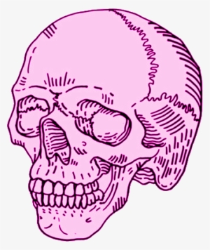 Skull, Pink, And Transparent Image - Skull Png #444639