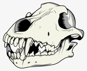 Tumblr Static - Wolf Skull Vector Free #444869