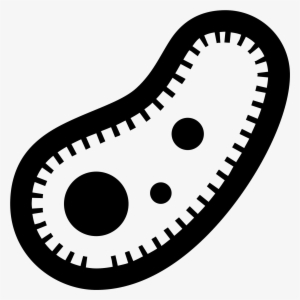 Bacteria Png #445665