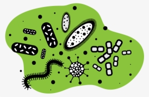 Bacteria - Liquid #445706