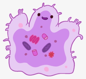Bacteria Png Cute - Bacteria Cartoon Png #445848