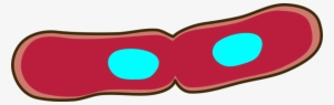 Medium Image - Bacteria Png #446231