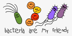 Bacteria Png Photo - Bacteria Birthday Cards #446257